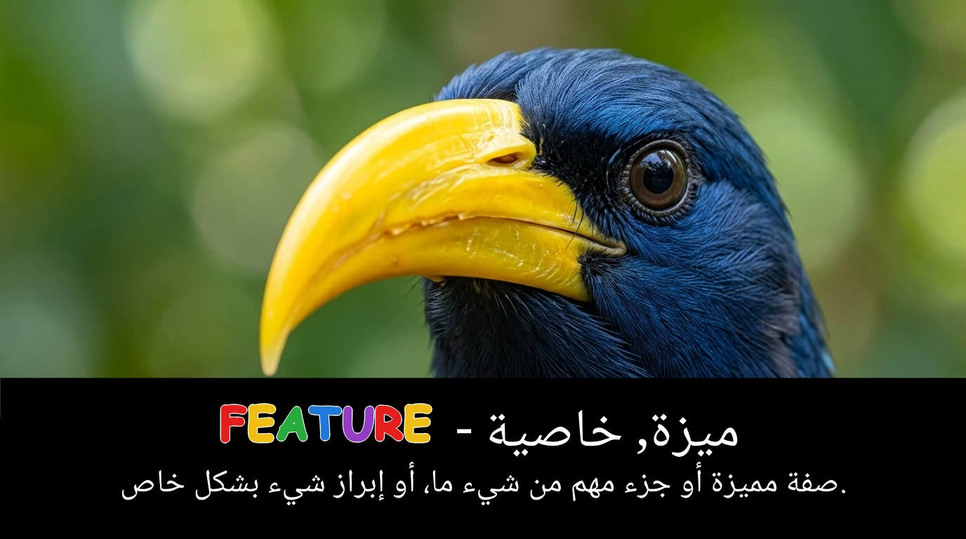 Arabic Illustration for feature